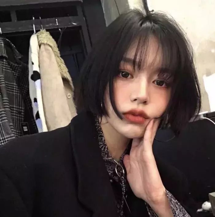 群蛇出洞