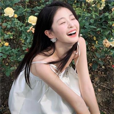 飞贼白菊花